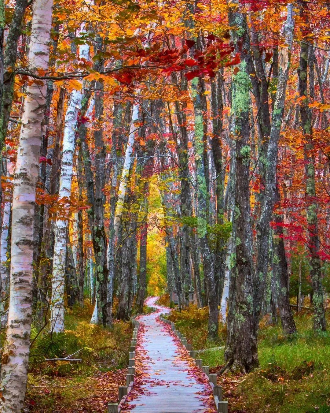 层林尽染，这人秋天美如画！