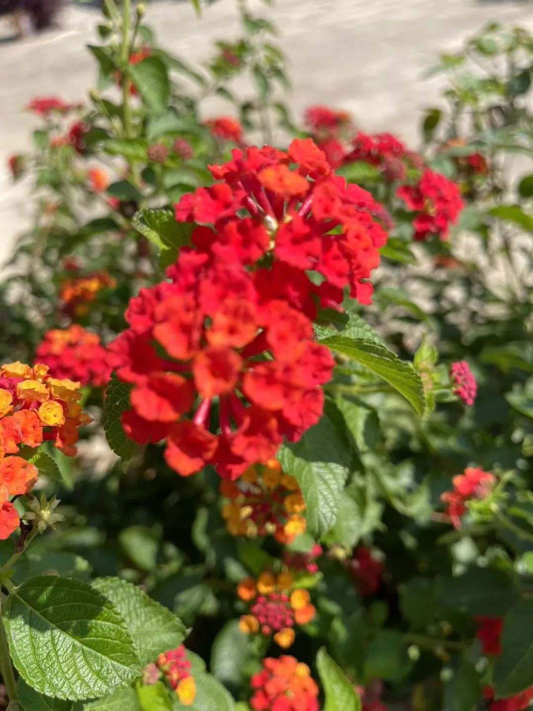 30句美到惊艳的诗词，你都读过吗？