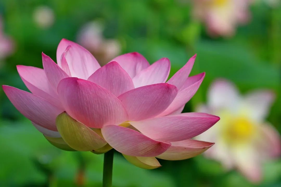 句子很短，道理很深！（入骨好文）