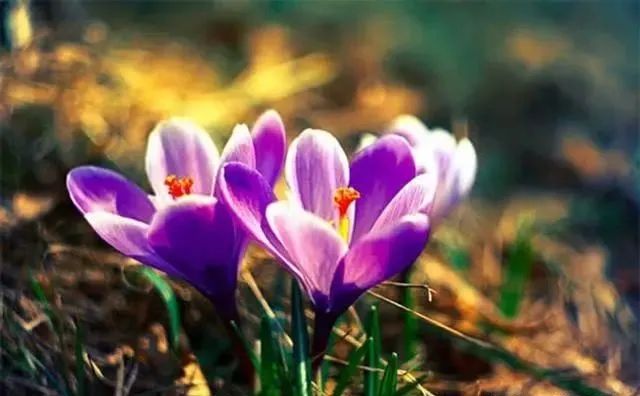 八个拍摄习惯用一年，你就是摄影大咖