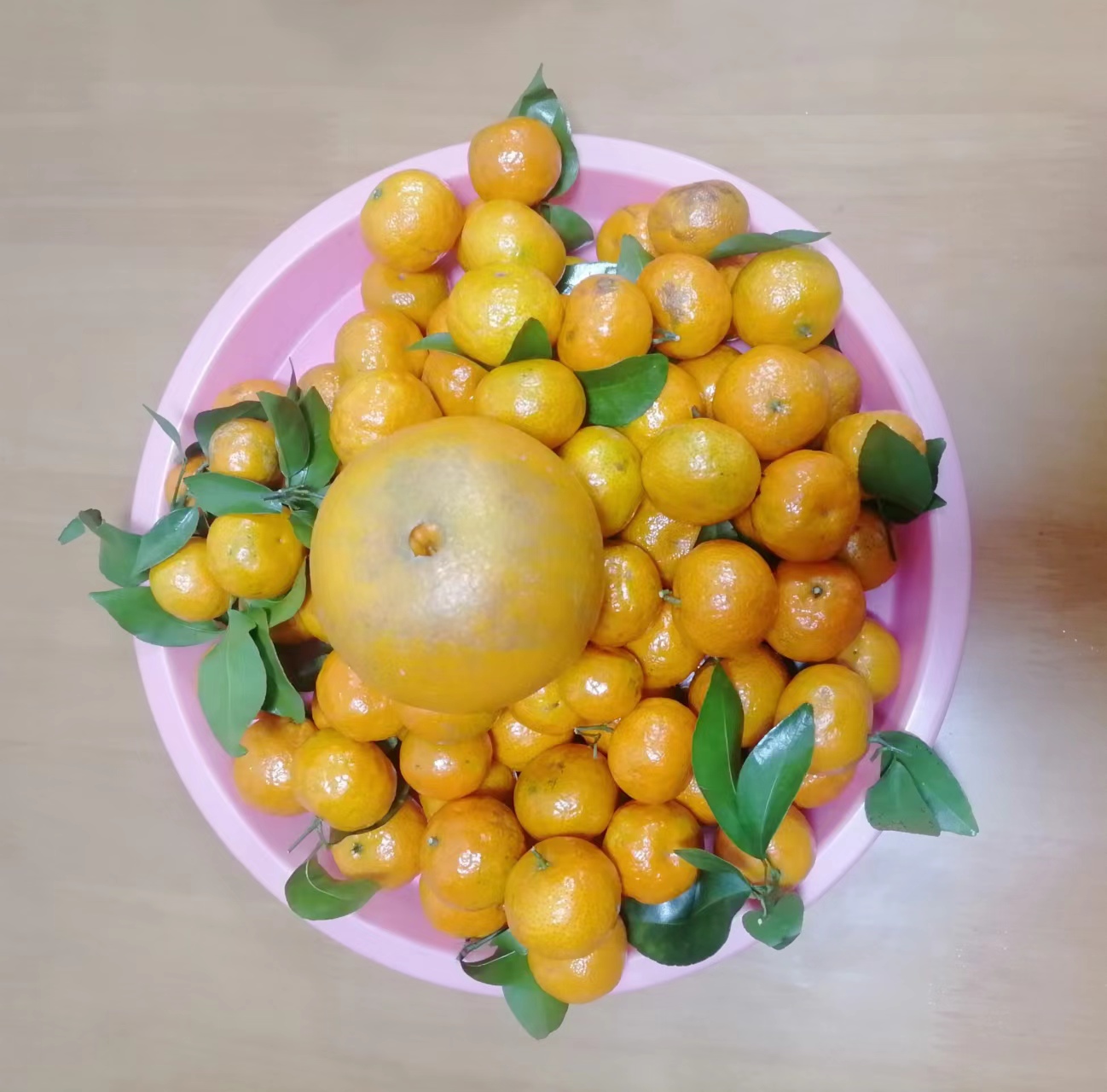 砂糖橘、香妃柑、橙子拼盘