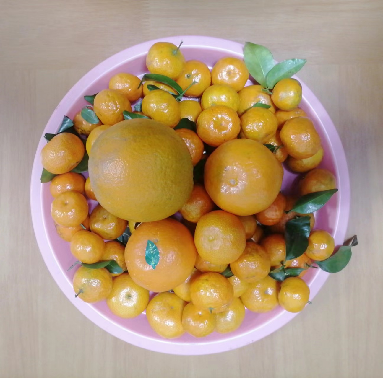 砂糖橘、香妃柑、橙子拼盘