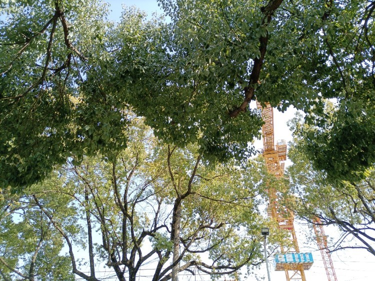 小区外围的美景