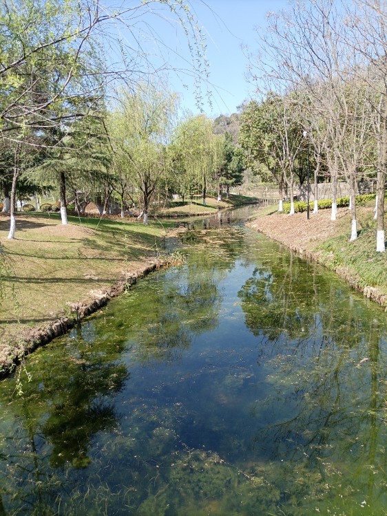镜湖湿地公园一