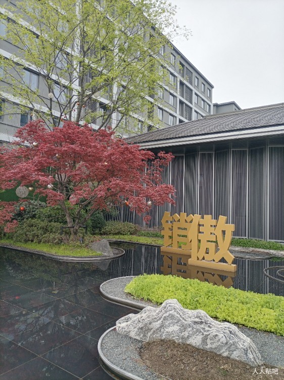 奥体中心及周边的景色